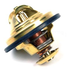 Yamaha 6TA124110000 Thermostat