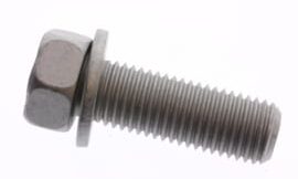 Genuine Yamaha Bolt, with washer