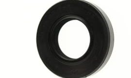 Oil seal (6g8)