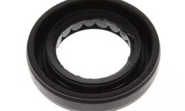 Oil seal