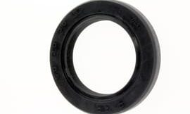 Oil seal