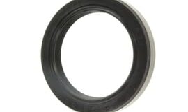 Oil seal