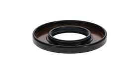 Oil seal