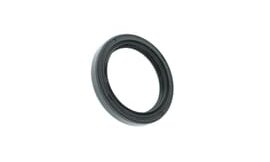 Oil seal