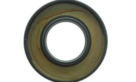 Oil seal