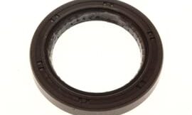 Oil seal