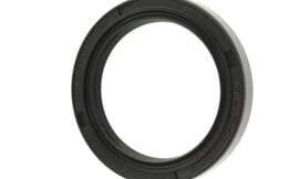 Oil seal (36r)