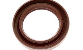 Oil seal (1kt)