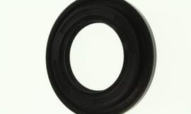 Oil seal