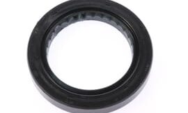 Oil seal