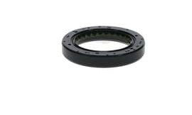 Oil seal