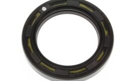 Oil seal