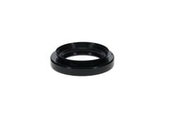 Oil seal