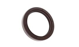 Oil seal