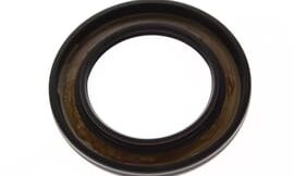 Oil seal