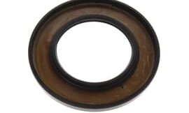 Oil seal