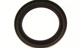 Oil seal