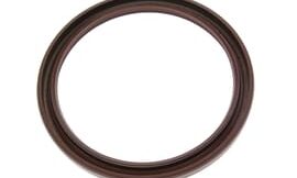 Oil seal