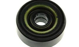 Oil seal