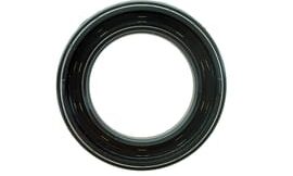 Oil seal
