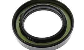 Oil seal