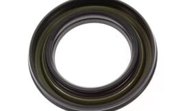 Oil seal (40x62x10-360)