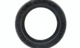 Oil seal