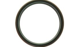 Oil seal