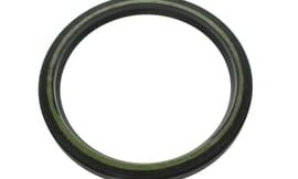 Oil seal (8v0)