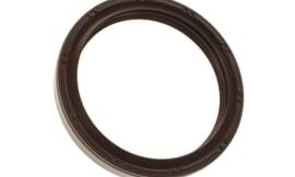 Oil seal