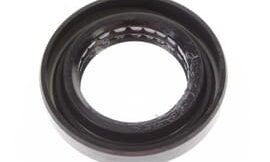 Oil seal