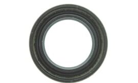 Oil seal