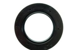 Oil seal