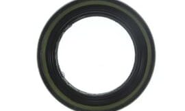 Oil seal