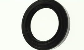 Oil seal