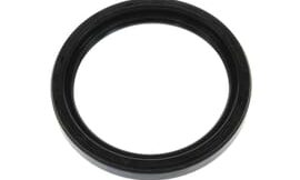 Oil seal