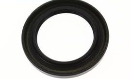Oil seal