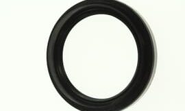 Oil seal