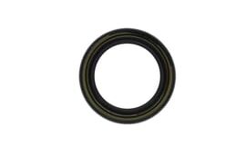 Oil seal