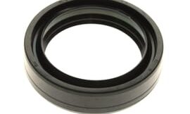 Oil seal