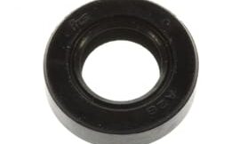 Oil seal