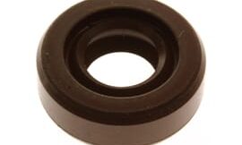 Oil seal