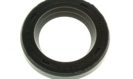 Oil seal