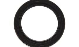 Oil seal
