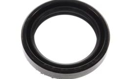 Oil seal