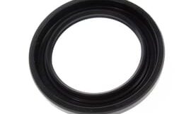 Oil seal (6e5)