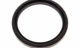 Oil seal