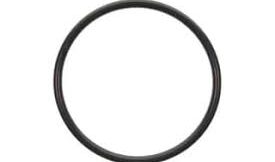 O-ring  (620)