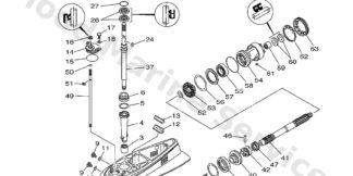 Genuine Yamaha Brg,cyl-cal roller 25.5g nt