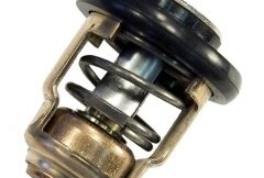 Genuine Yamaha Thermostat